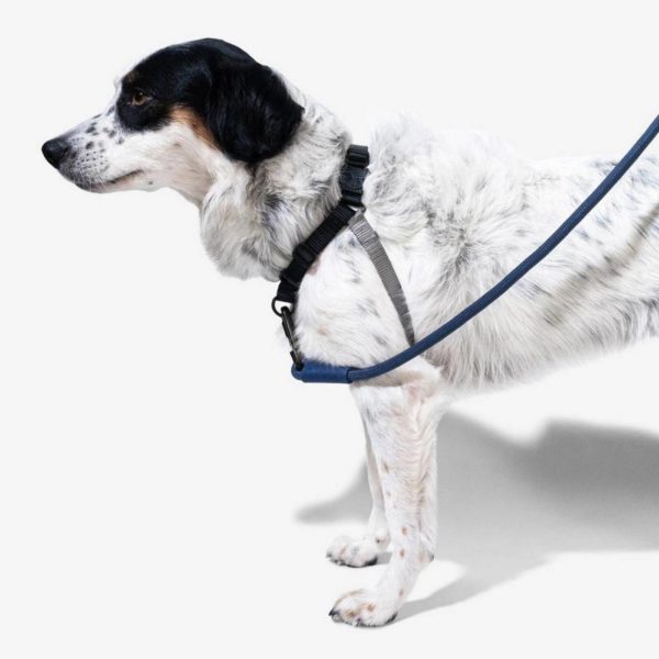 Zee.Dog Pettorina Soft-Walk Gotham Per Cani - Attacco guinzaglio zona torace