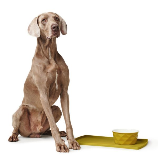 Hunter Sottociotole in Silicone Giallo - Panoramica