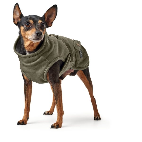 Hunter Cappottino Uppsala Trend per Cani Cachi - Esempio vestibilità 2
