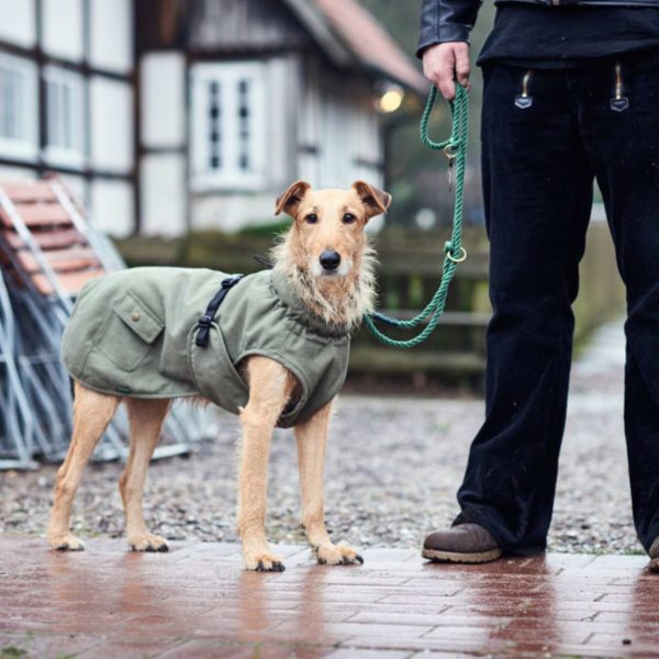 Hunter Cappottino Uppsala Trend per Cani Cachi - Esempio vestibilità 3
