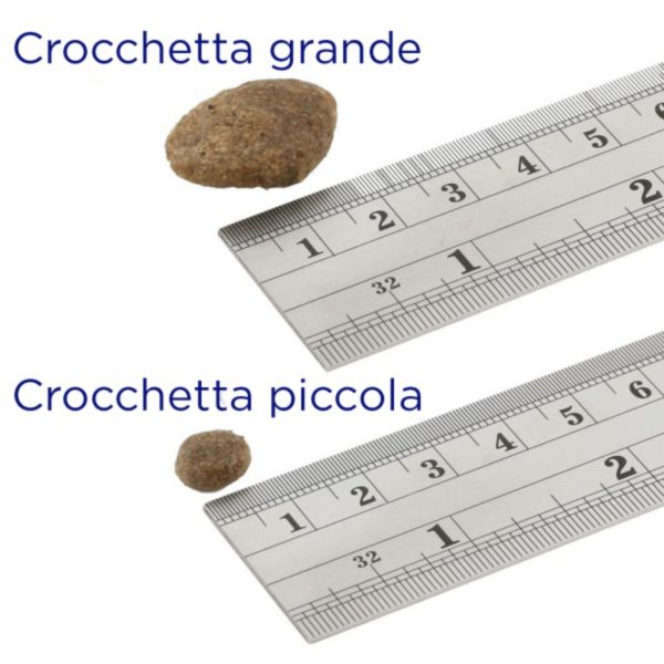 Fish4Dogs Finest Salmon Senior Small con Salmone per Cani Anziani - Dimensione crocchetta
