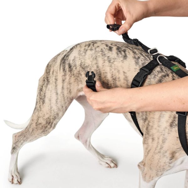 Hunter Pettorina Vario Rapid Antipanico in Nylon per Cani Nero - Fase chiusura 2