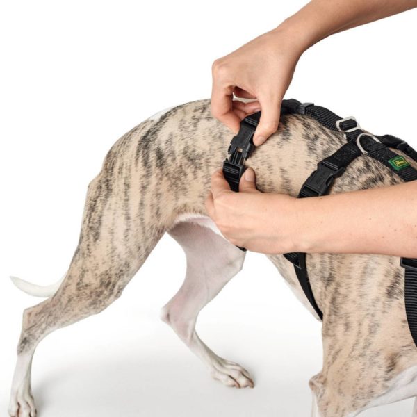 Hunter Pettorina Vario Rapid Antipanico in Nylon per Cani Nero - Fase chiusura 3