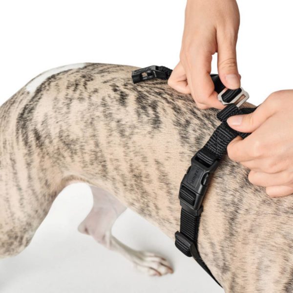 Hunter Pettorina Vario Rapid Antipanico in Nylon per Cani Nero - Fase chiusura 4