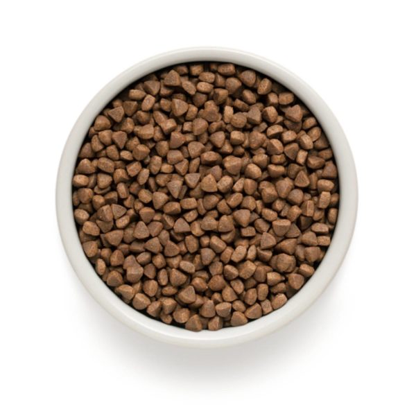 Grandorf Cat Adult Indoor Agnello e Riso Integrale per Gatti - Crocchette