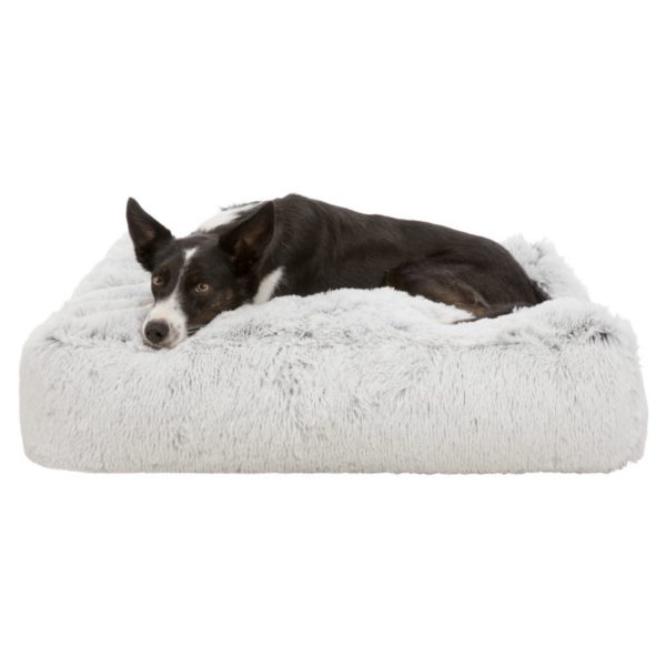 Trixie Cuscino Harvey Soft Edition Bianco/Nero - Esempio con cane