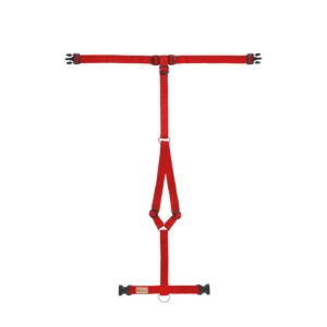 Haqihana Pettorina ad H Rosso in Nylon per Cani