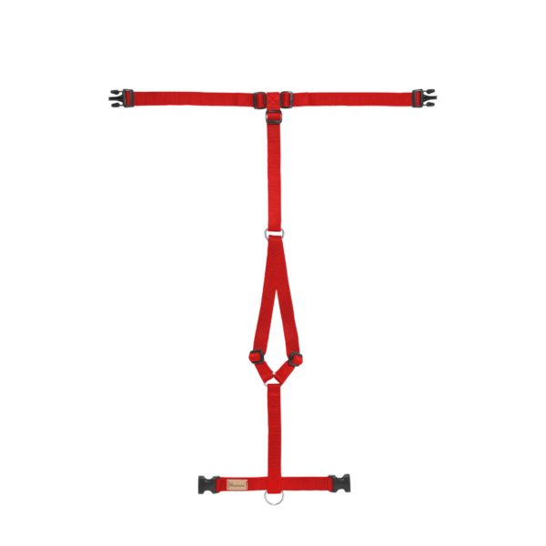 Haqihana Pettorina ad H Rosso in Nylon per Cani