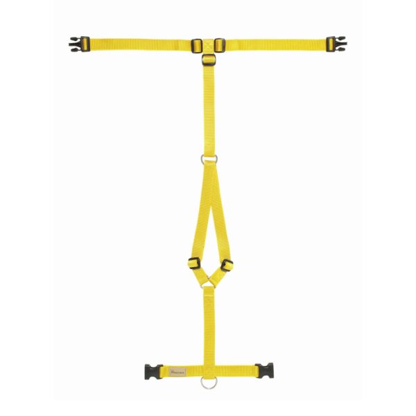 Haqihana Pettorina ad H Yellow in Nylon per Cani