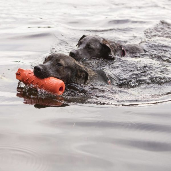 Kong Training Dummy L 58x5cm per Cani - Gioco e cane