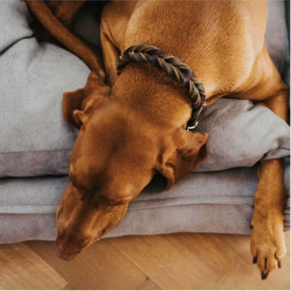 Hunter Sofa Eiby Divano per Cani Grigio - Riposo comodo
