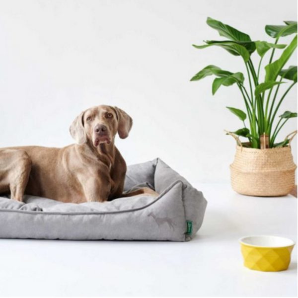 Hunter Sofa Eiby Divano per Cani Grigio - Design elegante