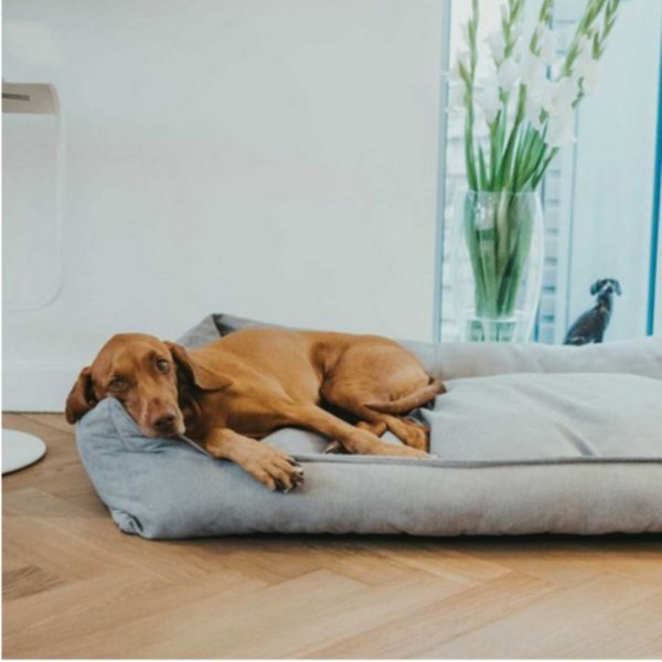 Hunter Sofa Eiby Divano per Cani Grigio - Realizzato in poliestere