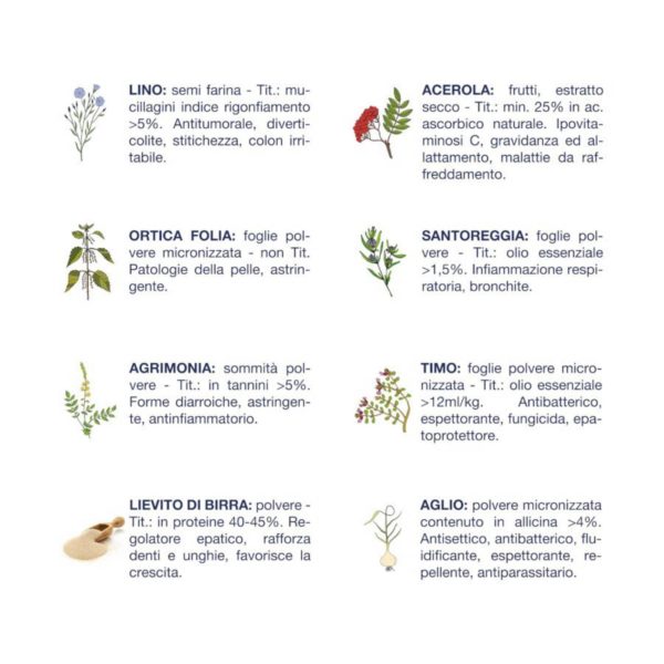 Vet Line Primi Mesi Bufalo per Cuccioli Monoproteico - Caratteristiche erbe officinali