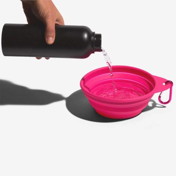 Zee.Dog Go Bowl Ciotola Pieghevole da Viaggio Singola per Animali Rosa - Adatta sia per l'acqua che per il cibo