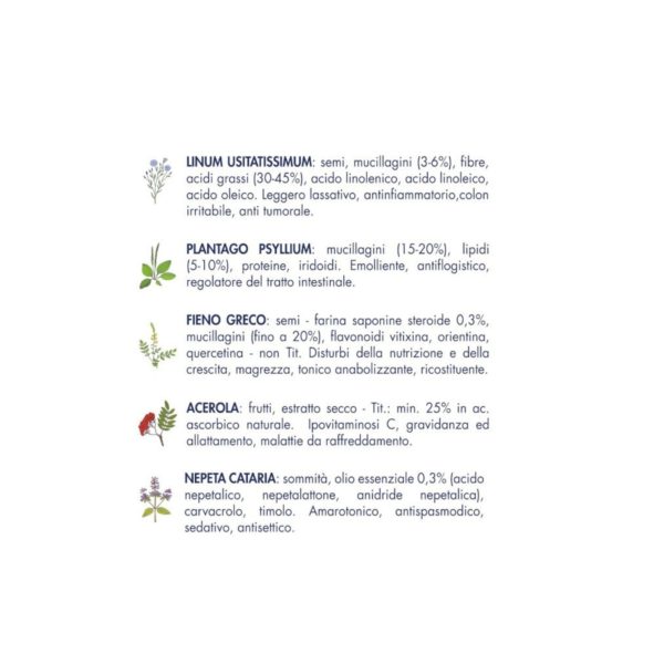 Vet Line Prevenzione Gattini Monoproteico Maiale - Erbe Officinali