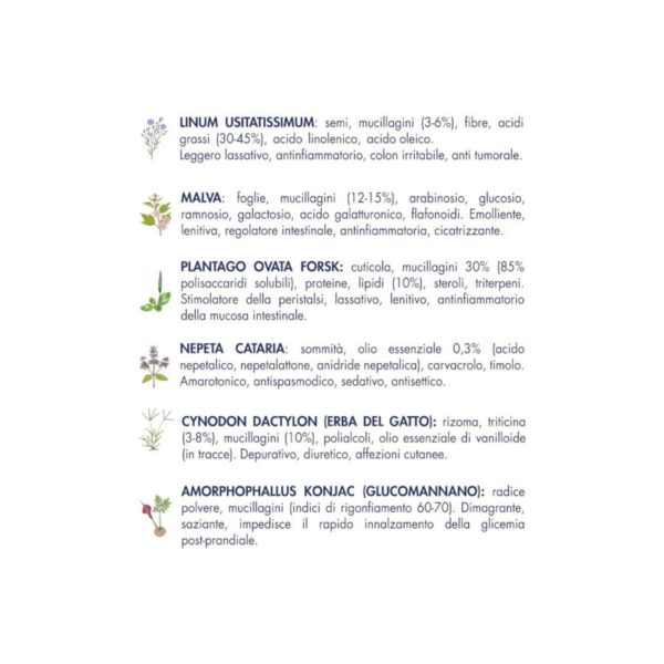 Vet Line Salute Steri Monoproteico Maiale con Prosciutto per Gatti Adulti 1Kg VetLine - Erbe Officinali