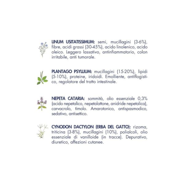 Vet Line Prevenzione Gusto Monoproteico Pesce per Gatti Adulti 1Kg VetLine - Caratteristiche erbe officinali