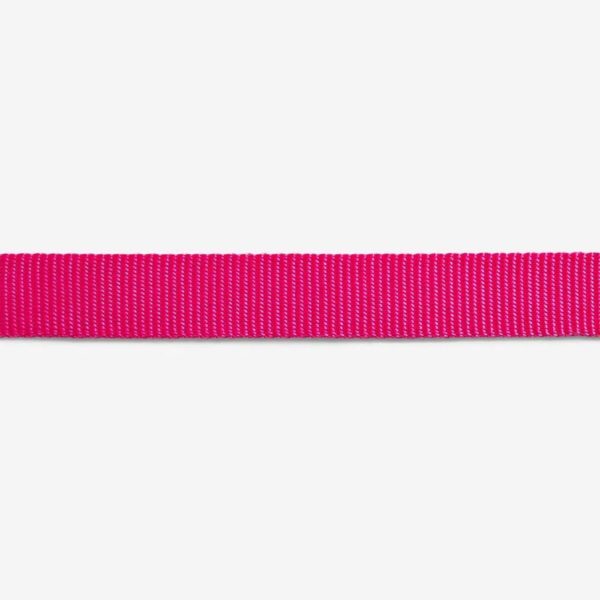 Zee.Dog Collare Regolabile Pink Led per Cani - Colore nitido e luminoso