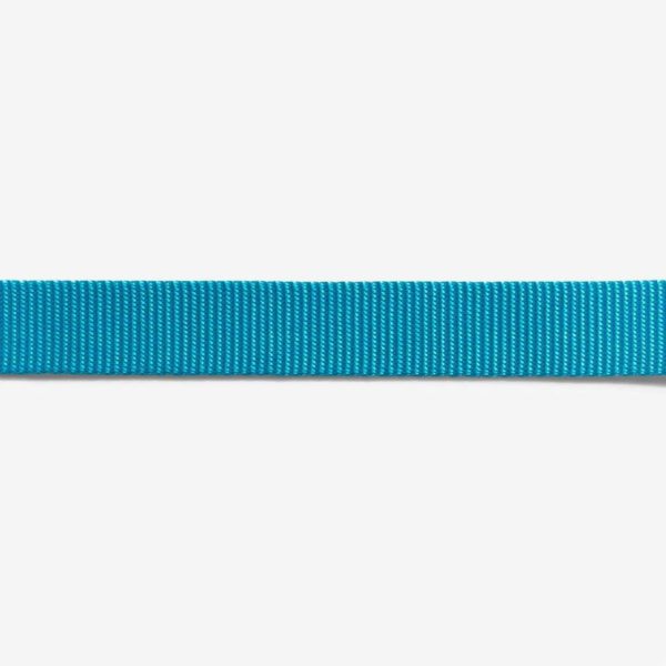 Zee.Dog Guinzaglio Fisso Ultimate Blue per Cani - Colore nitido e luminoso