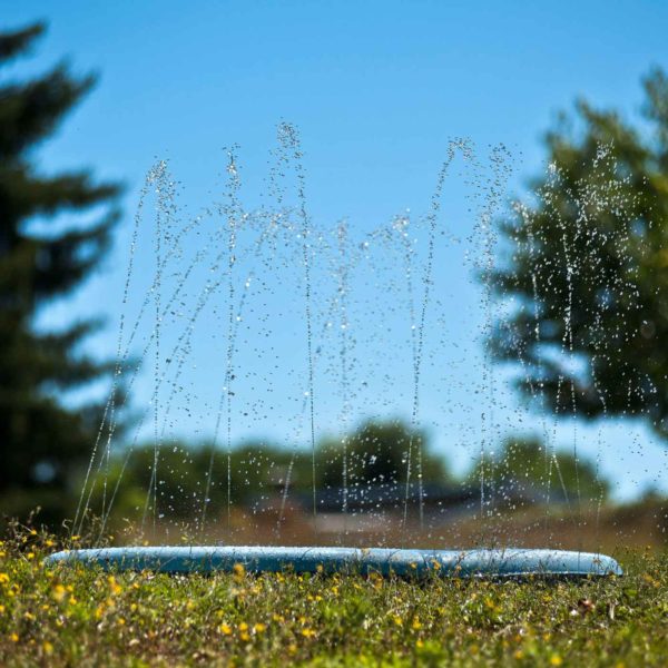 Ferribiella Piscina Splash Pool ø150cm Gioco d'Acqua per Cani - Zampilli d'acqua