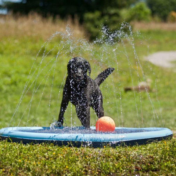 Ferribiella Piscina Splash Pool ø150cm Gioco d'Acqua per Cani - Ideale per le giornate estive