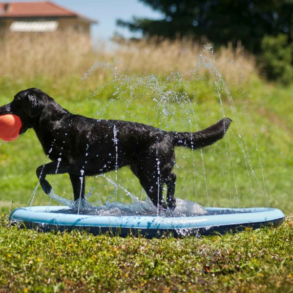 Ferribiella Piscina Splash Pool ø150cm Gioco d'Acqua per Cani - Gioco divertente