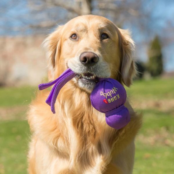 Kong Wubba XL 40cm Gioco per Cani Colori Assortiti - Divertimento assicurato
