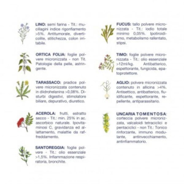 Vet Line Linea Salute Bufalo per Cani Adulti VetLine - Caratteristiche erbe officinali