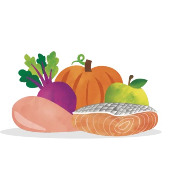 Edgard & Cooper Umido per Cani Salmone e Tacchino con Barbabietola e Zucca 400g - Ingredienti