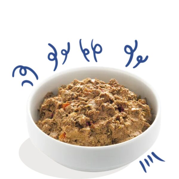 Edgard & Cooper Umido per Cani Salmone e Tacchino con Barbabietola e Zucca 150g - Prodotti