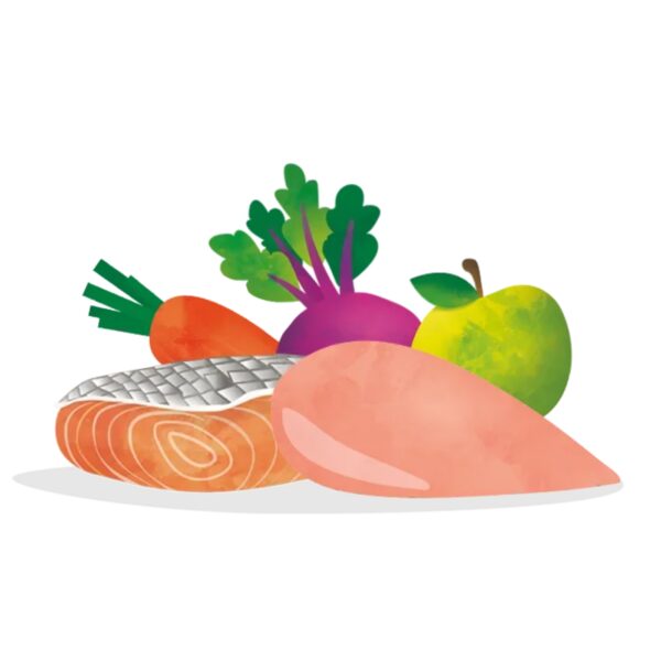 Edgard & Cooper Umido per Cani Salmone e Tacchino con Barbabietola e Zucca 150g - Ingredienti