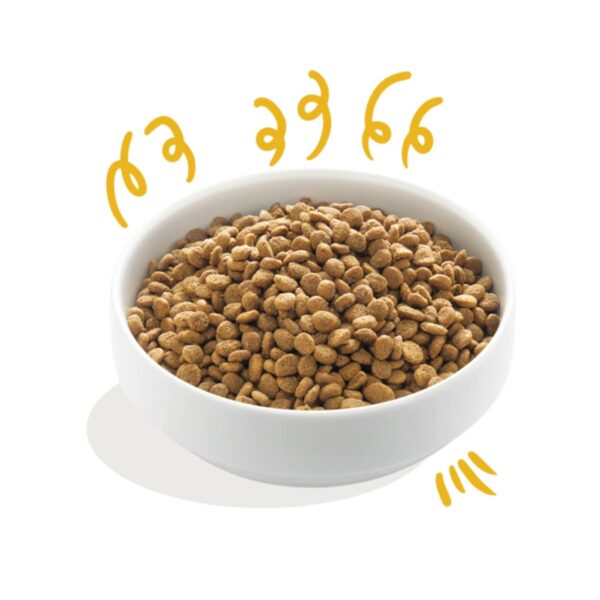 Edgard & Cooper Adult Carne Fresca di Tacchino e Pollo Biologici Gluten Free per Cani - Prodotto