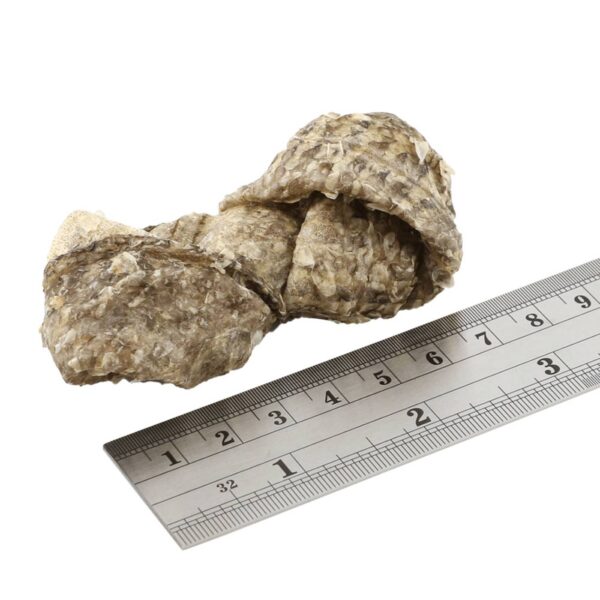 Fish4Dogs Dental Sea Jerky Fish Knots Premi Snack per Cani 500g - Misura prodotto