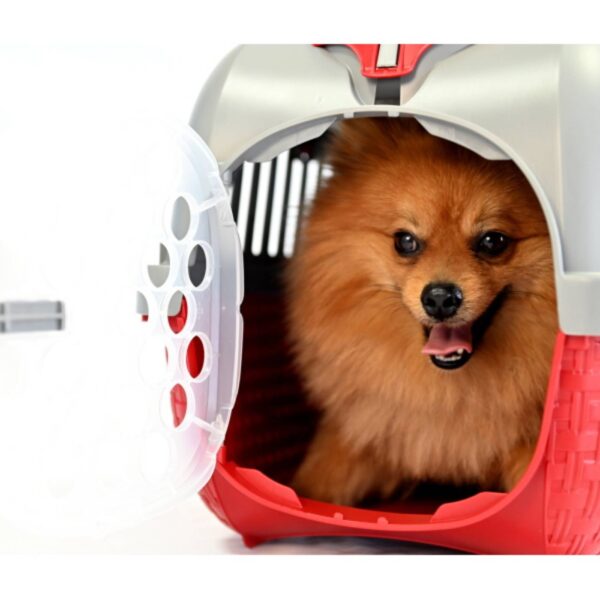 Bama Pet Trasportino Tour Bordeaux per Gatti e Cani di Piccola Taglia - Cane di piccola taglia