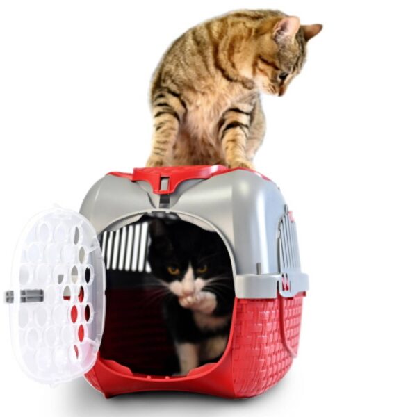 Bama Pet Trasportino Tour Bordeaux per Gatti e Cani di Piccola Taglia - Si monta senza l'ausilio di attrezzi, basta un click!
