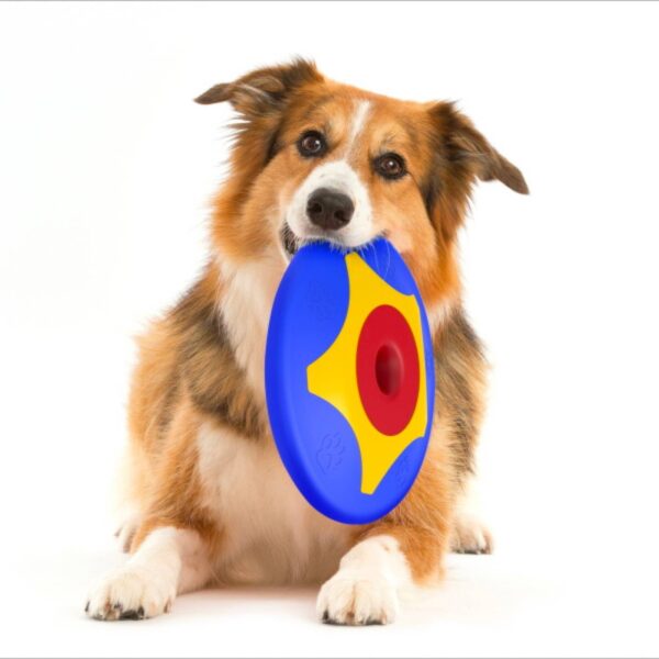 Bama Pet Frisbee Gioco per Cani Trotto Disk - Prodotto resistente e atossico