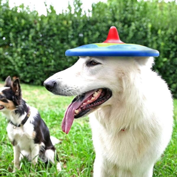 Bama Pet Frisbee Gioco per Cani Trotto Disk - Divertimento assicurato