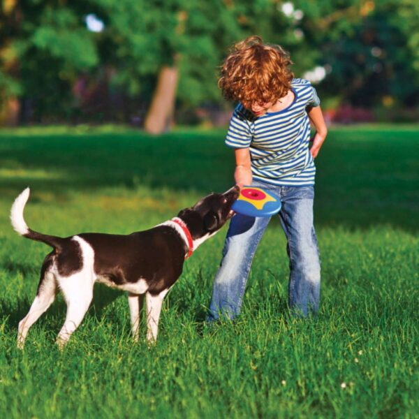 Bama Pet Frisbee Gioco per Cani Trotto Disk - Perfetto anche per il tira e molla