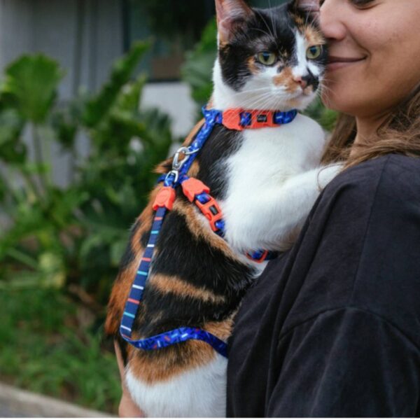 Zee.Cat Set Pettorina e Guinzaglio per Gatti Atlanta - Uscita