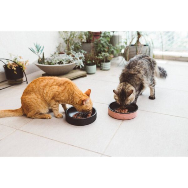 Zee.Cat Duo Bowl Ciotola per Gatti d.18cm 430ml - Esempio