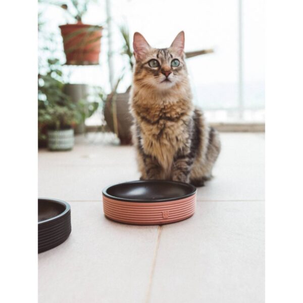 Zee.Cat Duo Bowl Ciotola per Gatti d.18cm 430ml - Esempio 2