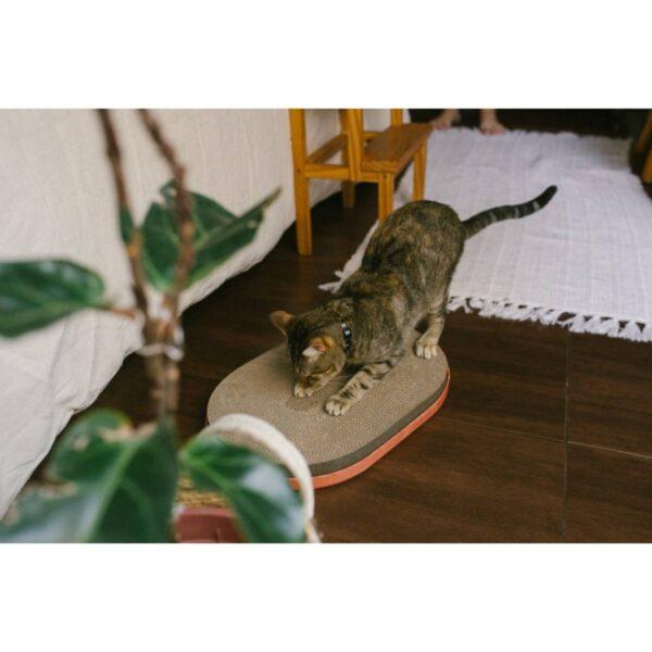 Zee.Cat Tiragraffi Citrus 5x45,5x30cm - Divertimento assicurato