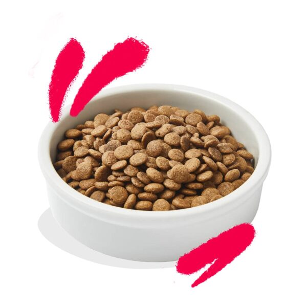 Edgard & Cooper Alimento Secco Grain Free Pollo e Tacchino Freschi 2kg per Gatti Senior - Prodotto