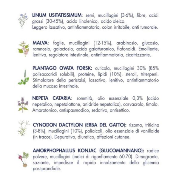 Vet Line Linea Salute Snelli Maiale Grain Free per Gatti Adulti VetLine - Caratteristiche erbe officinali