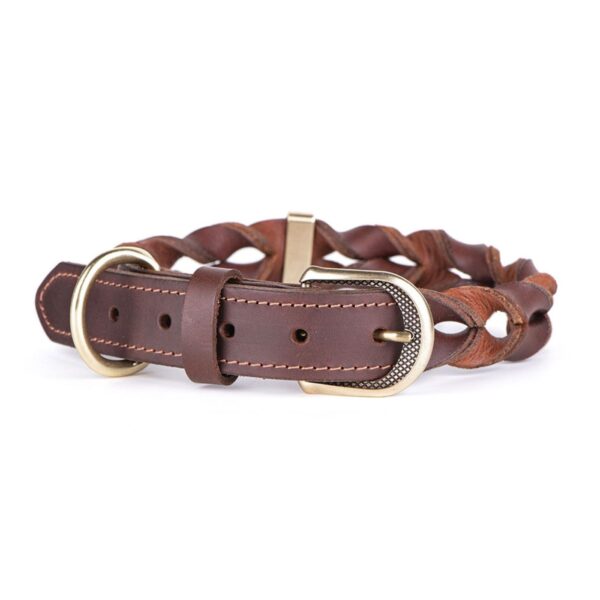 MyFamily Collare Ascot in Cuoio Ingrassato Marrone per Cani