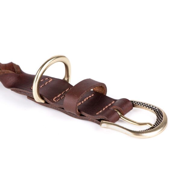 MyFamily Collare Ascot in Cuoio Ingrassato Marrone per Cani - Finiture in ottone inglese
