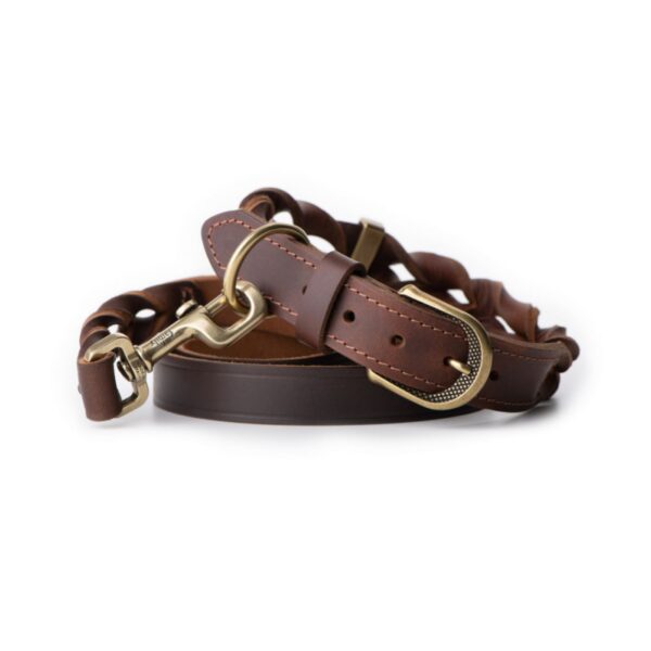 MyFamily Collare Ascot in Cuoio Ingrassato Marrone per Cani - Panoramica
