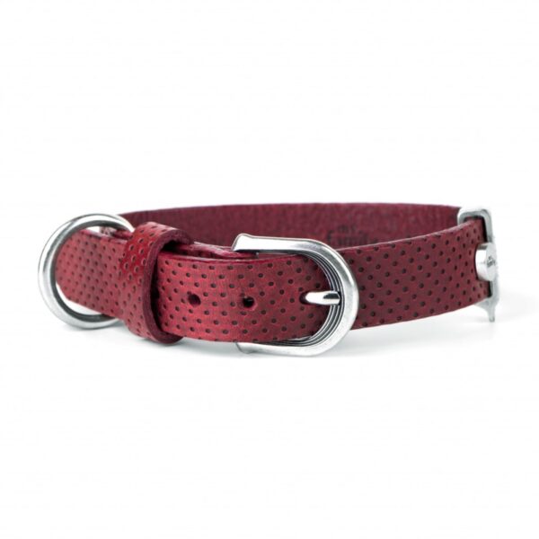 MyFamily Collare Monza in Pelle Rosso per Cani