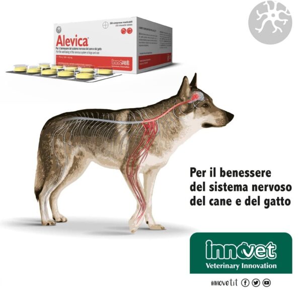 Innovet Alevica® Integratore Compresse Masticabili per Cani e Gatti - 200 Compresse
